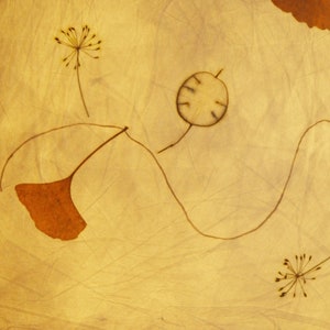 May include: A close-up of a light brown textured background with three pressed botanicals. The botanicals are a brown leaf, a small round seed pod, and a delicate flower with a thin stem.