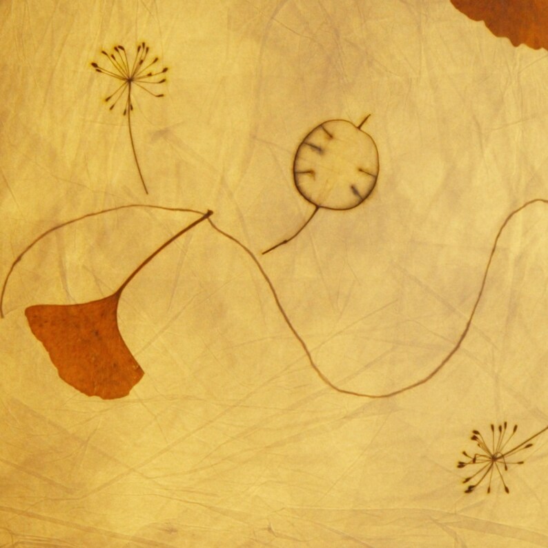 May include: A close-up of a light brown textured background with three pressed botanicals. The botanicals are a brown leaf, a small round seed pod, and a delicate flower with a thin stem.
