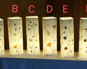 May include: Six white rectangular lamps with pressed flowers and leaves inside. The lamps are lit and the flowers are illuminated. The lamps are arranged in a row on a white tablecloth.