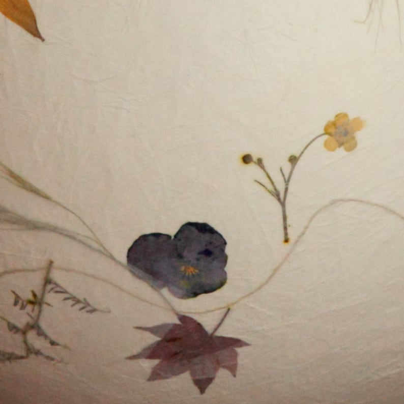 May include: A pressed flower arrangement on a cream-coloured background. The arrangement features a purple pansy, a small yellow flower, and a brown maple leaf.