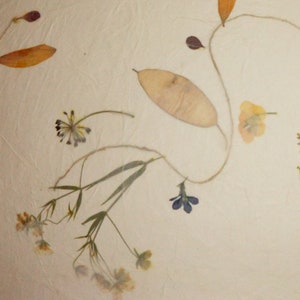 May include: A white background with pressed flowers and leaves. The flowers are in shades of yellow, brown, and purple. The leaves are in shades of brown and green.