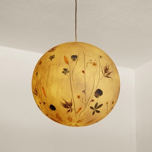 Paralume 8 in carta velina con viola cornuta, ranuncolo, acero... Lampada a globo, lampada a sospensione, lampada da soffitto