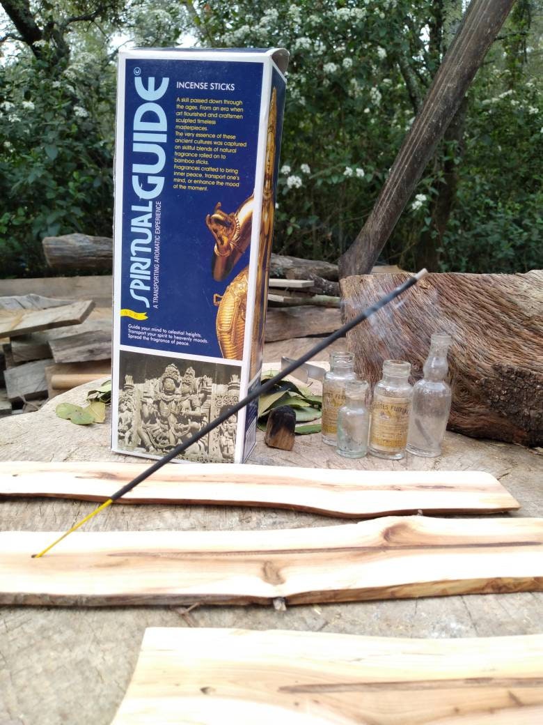 Enscens Padmini Spiritual Guide 20 Bâtonnets