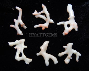 6 Pieces Japanese White Coral Polish Rough Natural Gemstone Beads White Coral Raw Top Quality