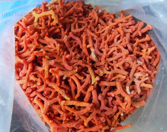 Italienische rote Korallen Zweige Rohedelstein Perlen (1 Kilogramm)