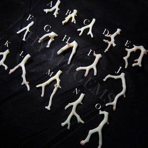 May include: A collection of 15 white coral branches, labeled with letters A through O, on a black background. The coral branches are natural and have a variety of shapes and sizes.