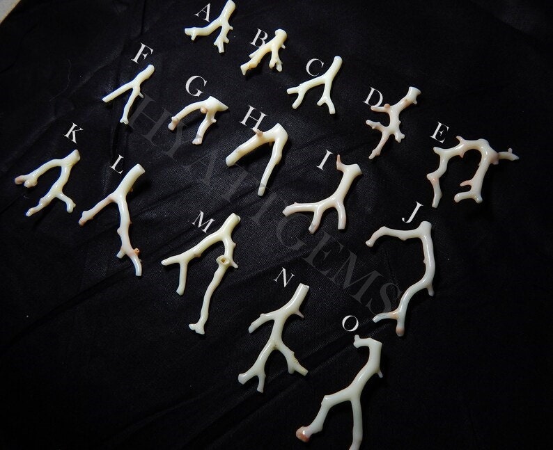 May include: A collection of 15 white coral branches, labeled with letters A through O, on a black background. The coral branches are natural and have a variety of shapes and sizes.