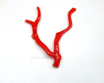 Italian Red Coral Branch Polished Gemstone Bead (45x59 mm)