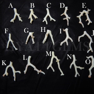May include: Fifteen white coral pieces labeled with letters A through O. The coral pieces are arranged in three rows on a black surface.