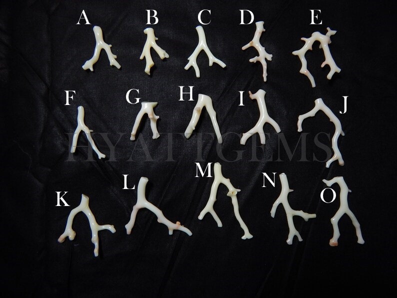 May include: Fifteen white coral pieces labeled with letters A through O. The coral pieces are arranged in three rows on a black surface.