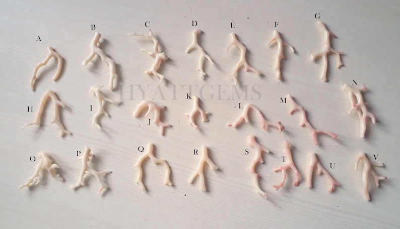 May include: A collection of 26 coral pieces labeled with letters A through V. The coral pieces are various shapes and sizes, with some having a pink hue.