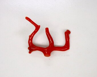 Italian Red Coral Polish Rough Natural Gemstone Mediterranean Sea Coral Raw Top Quality