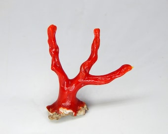 Italian Red Coral Branch Polished Gemstone Bead (29x36 mm)