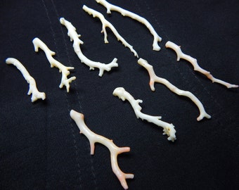 White Japanese Coral Branch Polished Gemstone Stick (4x50 To 6x60 mm)