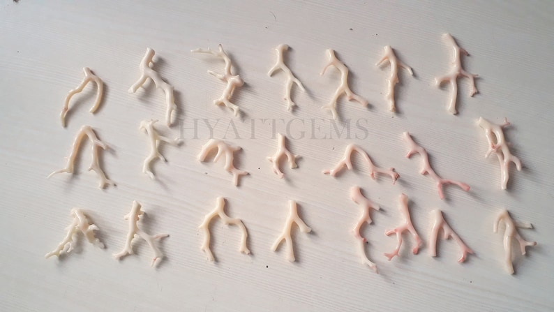 May include: A collection of 25 natural coral branches in various sizes and shapes. The coral is a pale pink color with some white branches. The coral is arranged on a white surface.