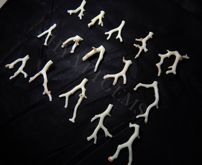 May include: A collection of 14 white coral branches with a pink hue. The coral branches are arranged on a black background.