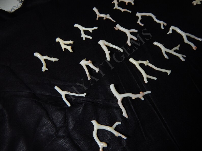 May include: A collection of white coral branches with a hint of pink, arranged on a black fabric background.