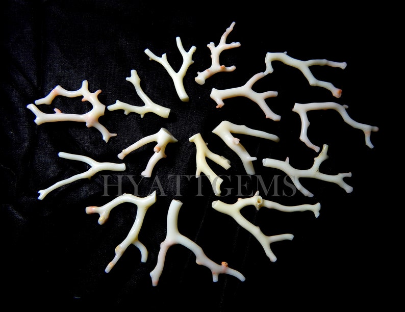 japan coral