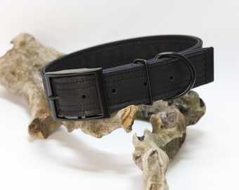 Cork collar in many colors and sizes with a pin buckle, sustainable, vegan, environmentally friendly