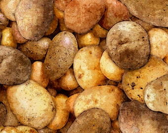 19,00Euro/m Baumwollstoff Kartoffeln / Stoff Kartoffelknollen / botato / frische Kartoffeln