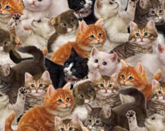19,00Euro/m Baumwollstoff Katzenbabys/ Katzenstoff/ Literary Kittens/ multi packed kitties