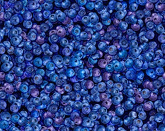 19,00Euro/m Baumwollstoff Heidelbeeren / Stoff mit Blaubeeren / blueberry / frische Heidelbeeren /Blaubeeren