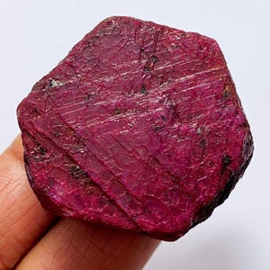May include: A rough, uncut ruby gemstone with a deep red hue. The surface of the stone has a textured appearance with visible lines and imperfections. The ruby is held in a hand against a white background.
