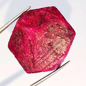 May include: A deep red ruby gemstone with a hexagonal shape and a rough, textured surface. The ruby is held by tweezers against a white background.