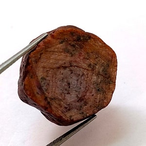 Könnte beinhalten: Nahaufnahme eines dunkelbraunen, unregelmäßig geformten, versteinerten Stückes versteinerten Holzes. Das Holz hat eine raue, strukturierte Oberfläche und eine natürliche, organische Form.