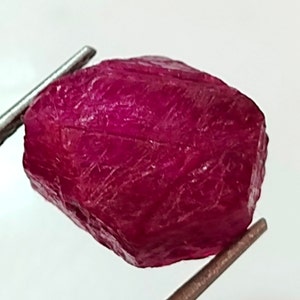 May include: A raw, uncut ruby gemstone held by metal tweezers. The ruby is a deep, rich red colour with a rough, textured surface. The gemstone is irregularly shaped, showcasing its natural form.