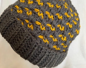 Youth charcoal Gray Beanie with gold accents