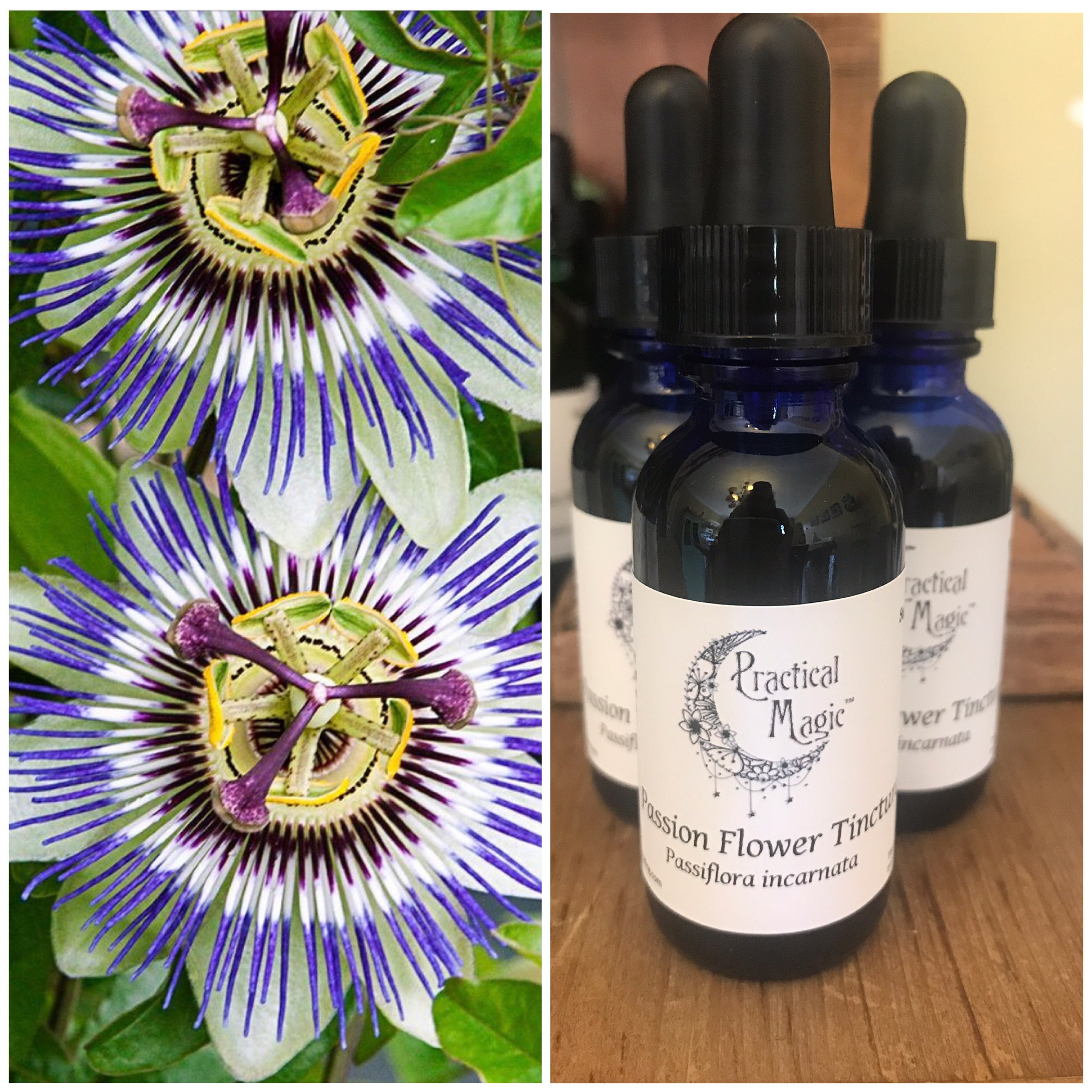 Passion Flower Tincture Etsy