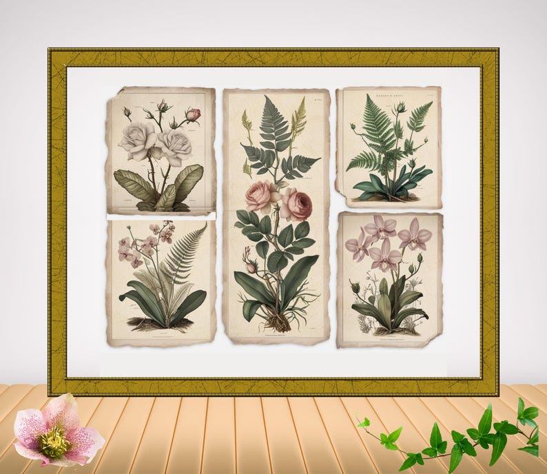 Vintage Botanical Wall Art Home Décor Canvas Print Gift Botanical ...