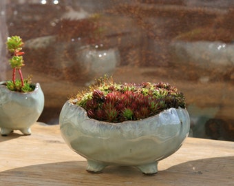 9977371 Blumen-Schale mit Floraldekor Vase Blumentopf Pflanzschale Keramik 