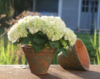 Shabby clay pot terra-antique 2 pieces vintage flower pots clay plant pots clay pots flower pot clay pot