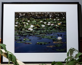 Waterlilies Photograph, Nature Photography, Wall Art, Bedroom Decor, Living Room Decor, Peaceful Wall Art, Photography Prints