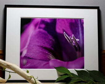 Gladiolus Flower Photograph, Nature Photography, Wall Art, Bedroom Decor, Living Room Decor, Peaceful Wall Art, Photography Prints