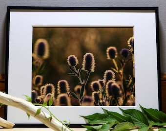 Peaceful Botanical Photograph, Nature Photography, Wall Art, Bedroom Decor, Living Room Decor, Peaceful Wall Art, Photography Prints