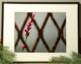 Flower Photograph, Nature Photography, Wall Art, Bedroom Decor, Living Room Decor, Peaceful Wall Art, Photography Prints