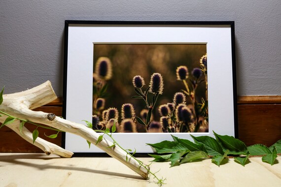 Peaceful Botanical Photograph Nature Photography Wall Art Etsy