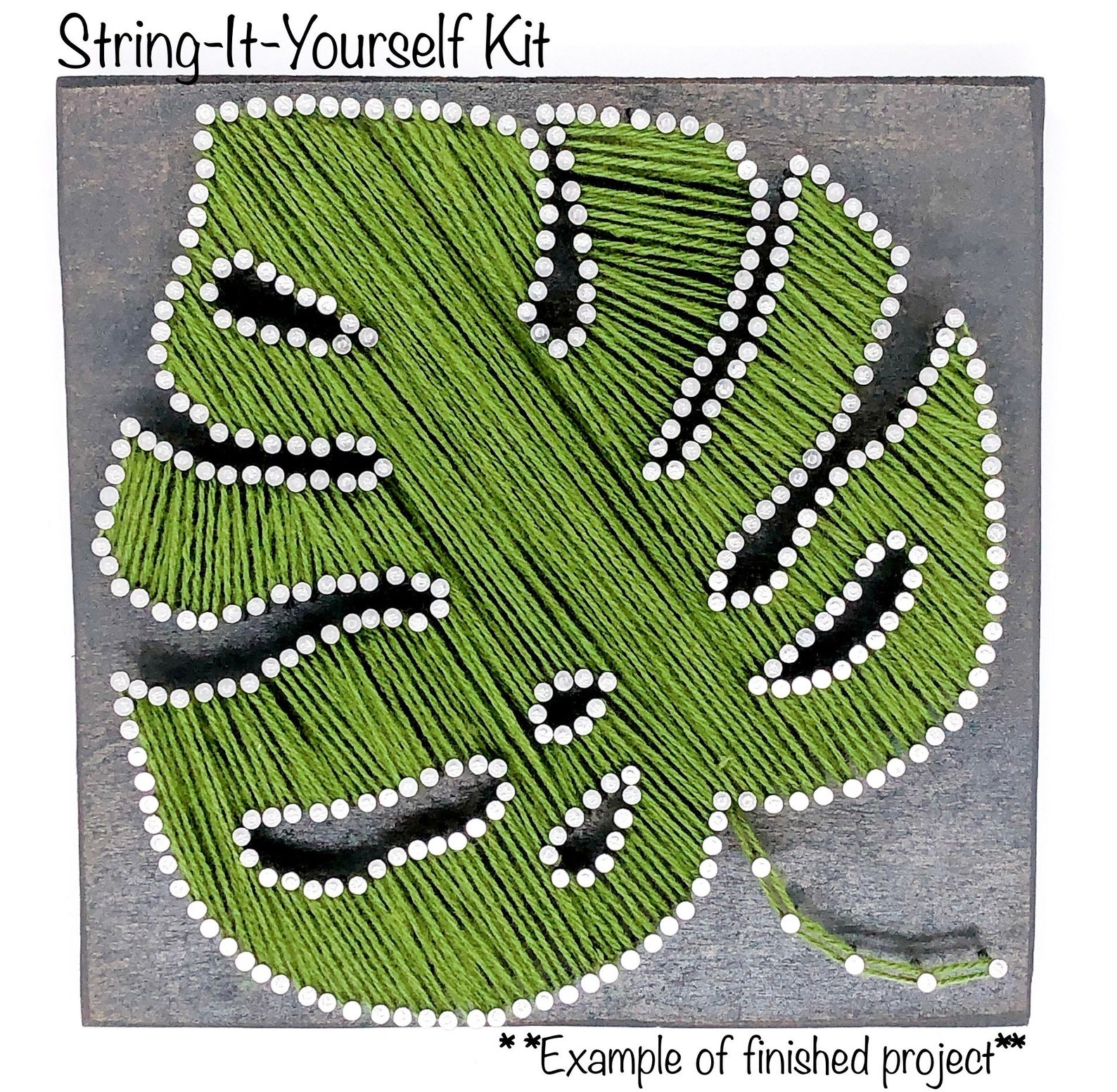 DIY String Art Kit, Monstera Wall Art, Plant Lover Gift, Gardener Gift ...