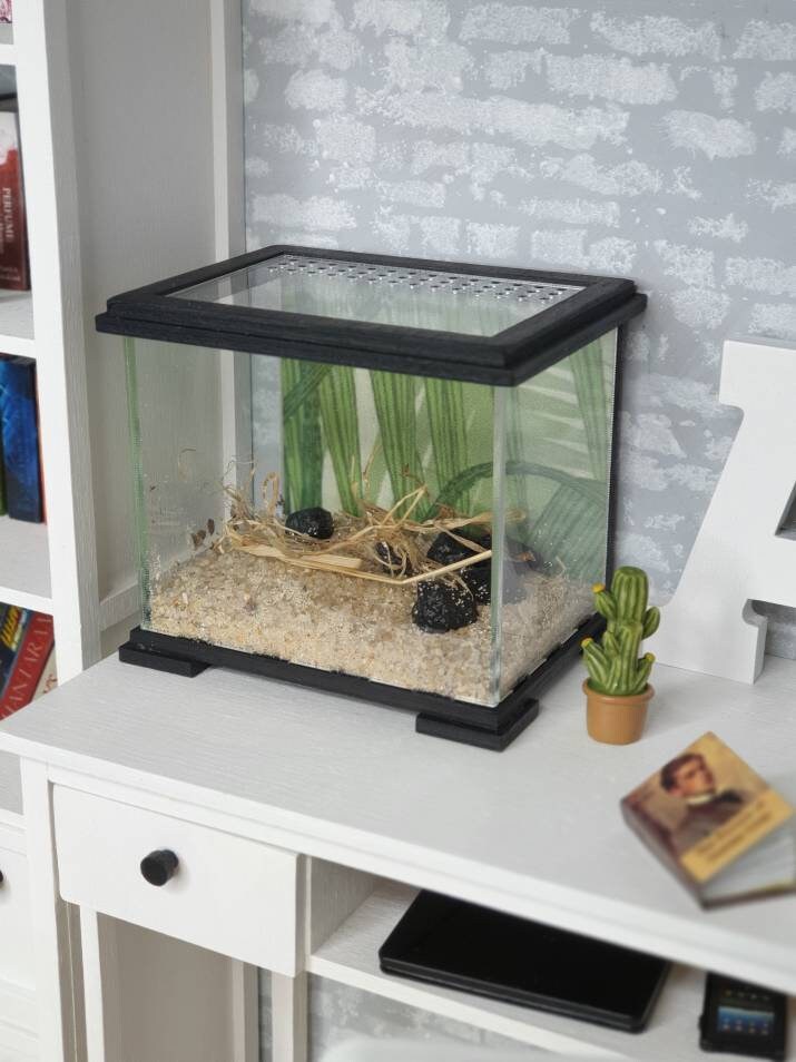 snake enclosure accessories