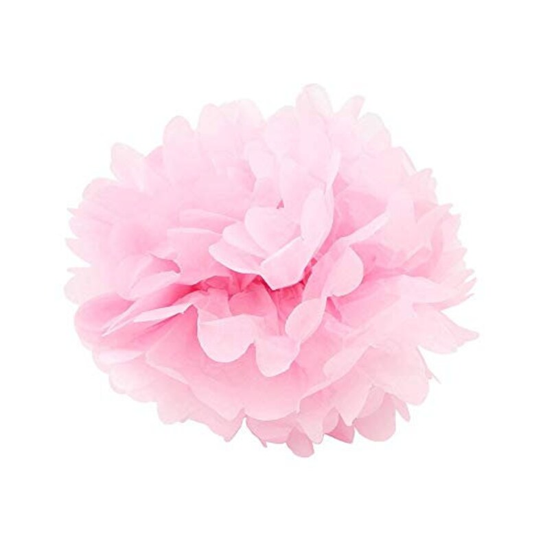 Assorted Set of 24 Tissue Paper Flower Pom Poms 8 16 Inch Etsy