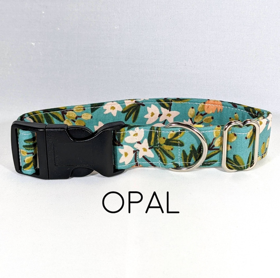 Opal Dog Collar Teal Citrus Print Blue Orange Peach Etsy