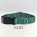 see more listings in the Dog Collars section