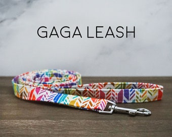 Gaga Leash - Rainbow Chevron Pet Lead, Pride, LGBTQ, LGBTQ+, Rainbow and White Arrows, Pride Dog Leash, Made in the USA