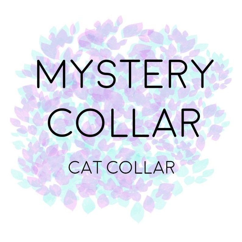 Surprise Pet Collar Embroidered Name Embroidery Included Mystery Collar Sample Sale- 12 Breakaway Cat Collar Deep Discount Clearance