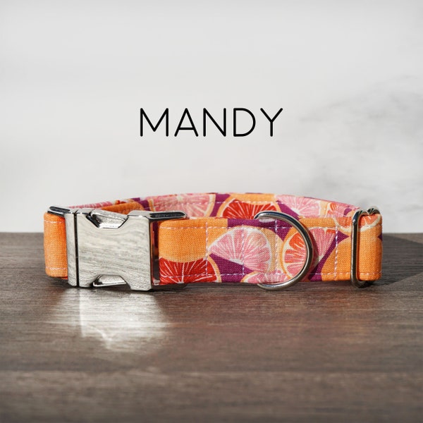 Mandy Dog Collar - Oranges and Grapefruit Pet Collar, Peach, Purple, Orange, Yellow, Light Pink, Fruit, Floral, Summer, Made in the USA