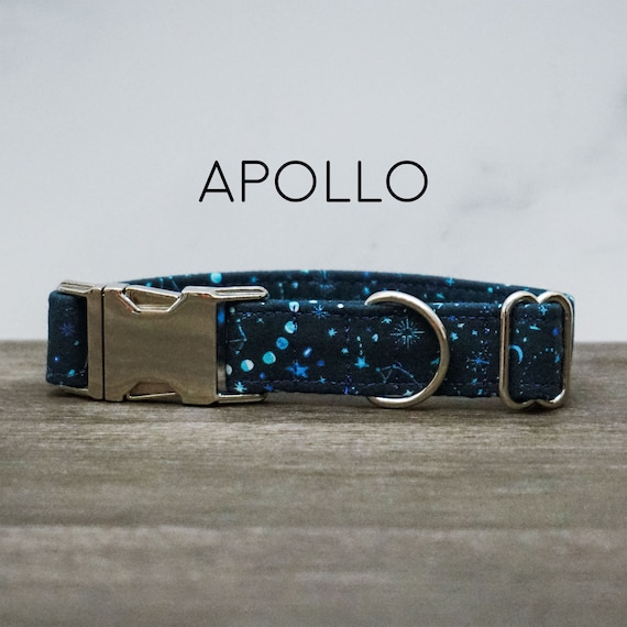 Apollo Dog Collar Navy and White Stars Pet Collar Embroidered