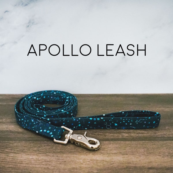 Apollo Dog Leash - 6 Foot Blue and White Moon Phase Space Pet Lead, Teal, Turquoise, Stars, Starry Sky, Night, Made in the USA